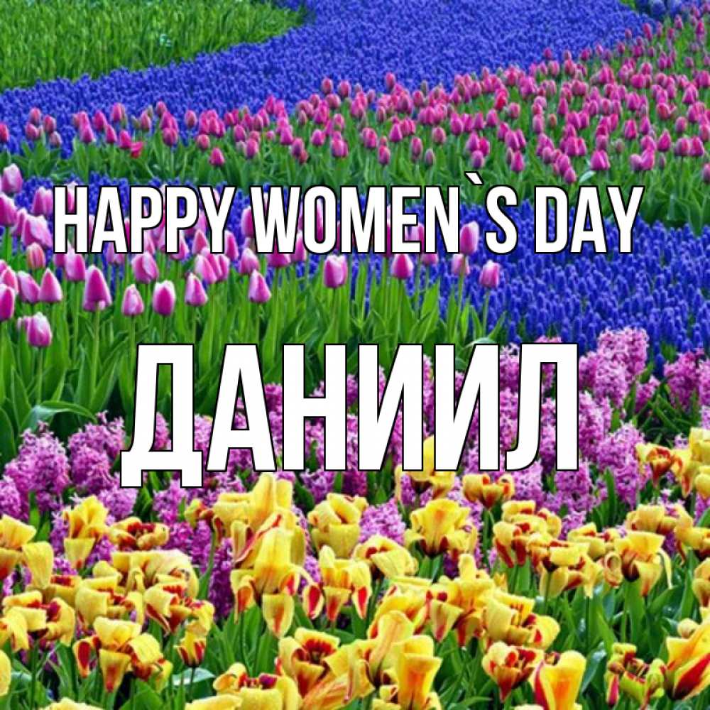 Greetings card с именем, Даниил happy women`s day цветы Greetings with text for free download 
